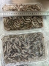 ���r�ك�С���r ��ˮС���r��ˮ�r �����ը���������õȺ��r���l