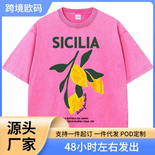 Amalfi Coast Italia Lemon Fruit Design Women Washed T-Shirts