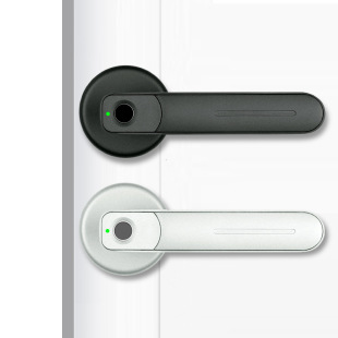 Bedroom Wooden Door Fingerprint Lock Office Home Ball Lock Door Smart Lock Indoor Electronic Handle Lock Fingerprint Lock