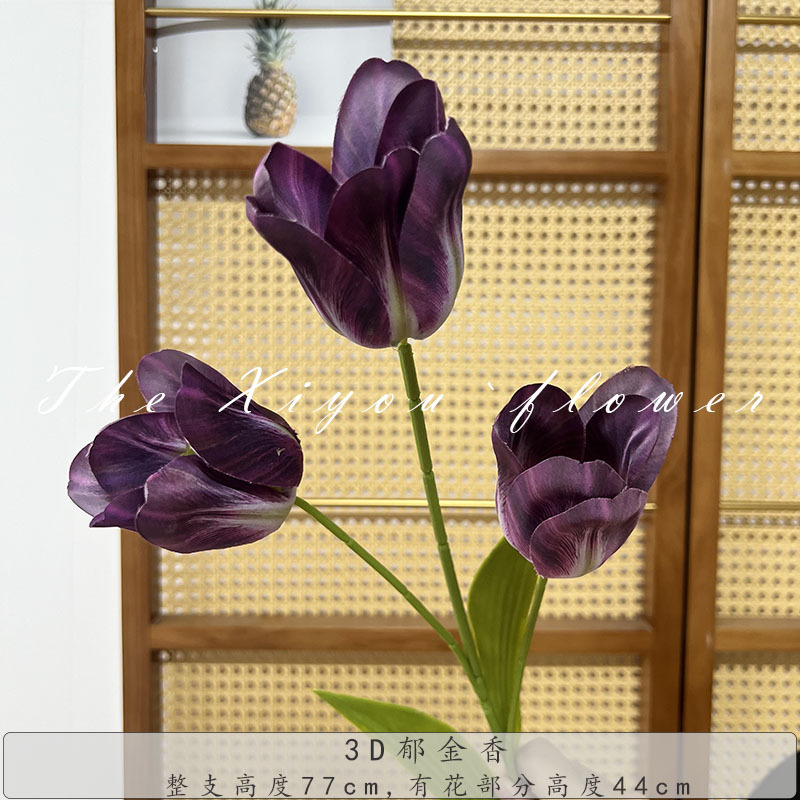 3D 튤립 - 다크 퍼플