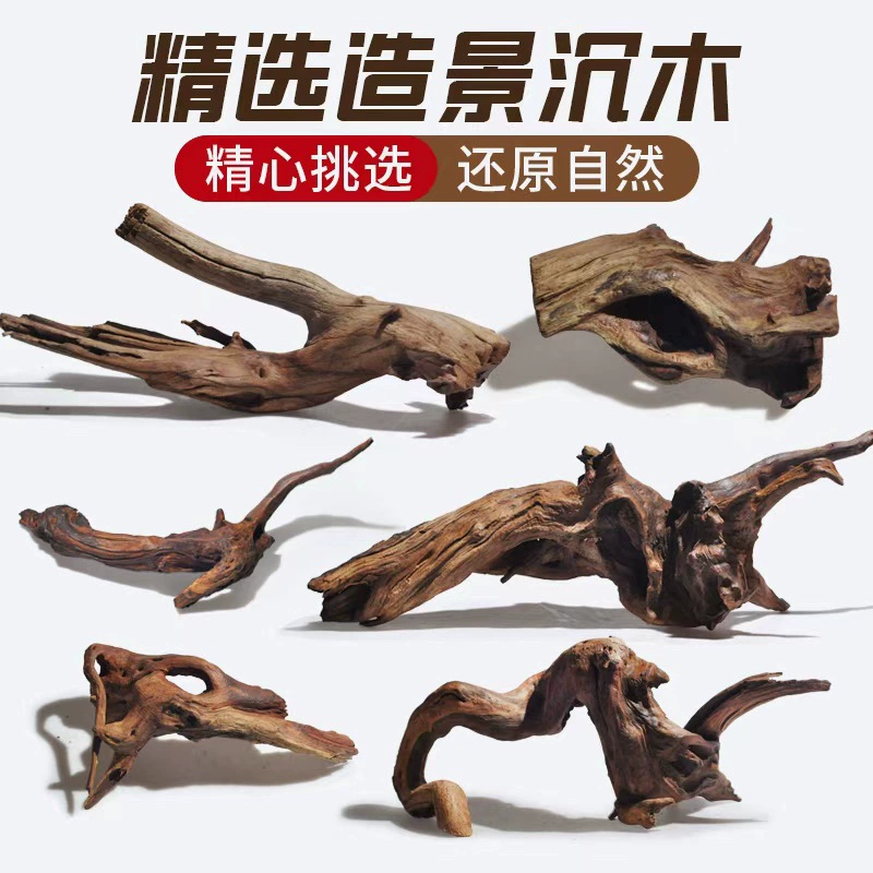 Рыбный аквариум ландшафтный