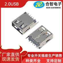 USB 2.0 �B���� AF 180�� 5P���z�y�_ֱ��ĸ����늽ӿ�H15.0�ӿ�