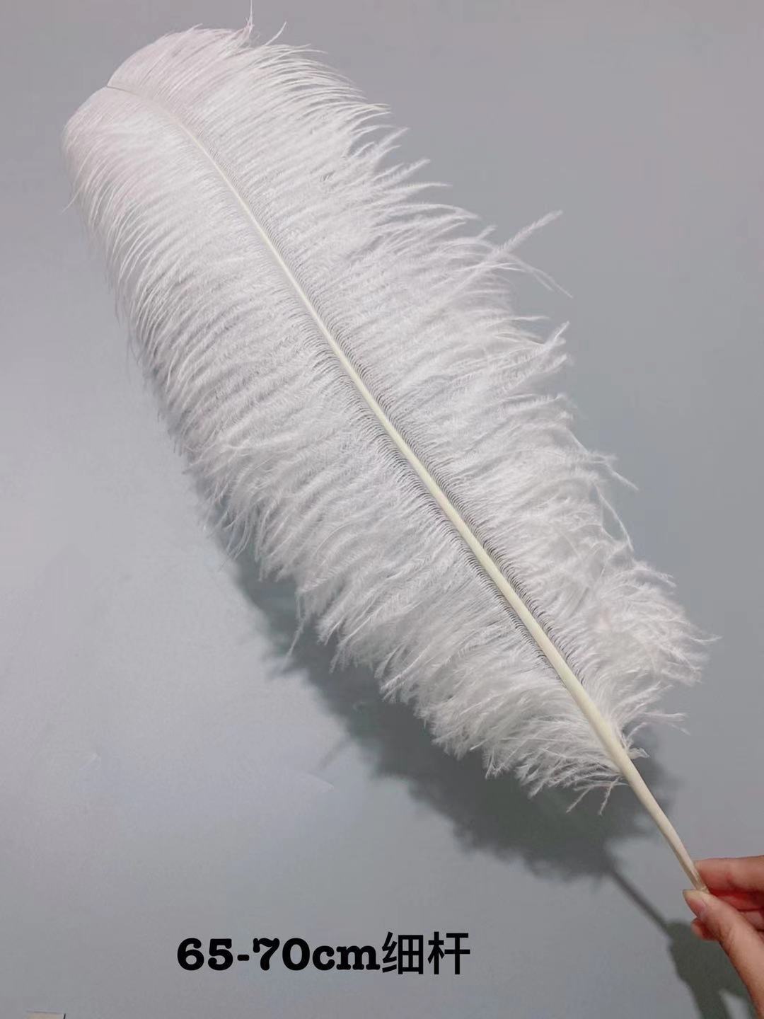 545d1e118b2292757afa926a3a7af4