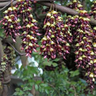 ���G�����ٺ�ȸ�������Դ�������ֲ������ͥԺ�Gֲ���ܶ���������