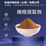 比例浓缩橄榄橄榄果多酚