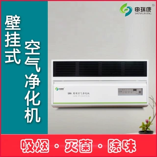 吸烟室香烟烟雾净化机商用壁挂式空气净化器医院病房用空气消毒机