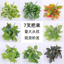 仿真植物墙配饰绿植墙插花配件地瓜叶家居软装绿植小盆栽墙面装饰