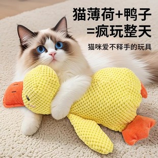 ؈�������푼��l����S�����˽␞��؈��ˣ���Ӕ]؈؈����ë�q