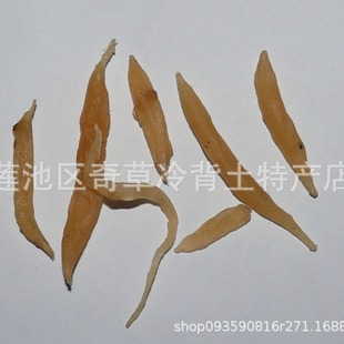 �춬,���T��,��؛���l��ș���춬