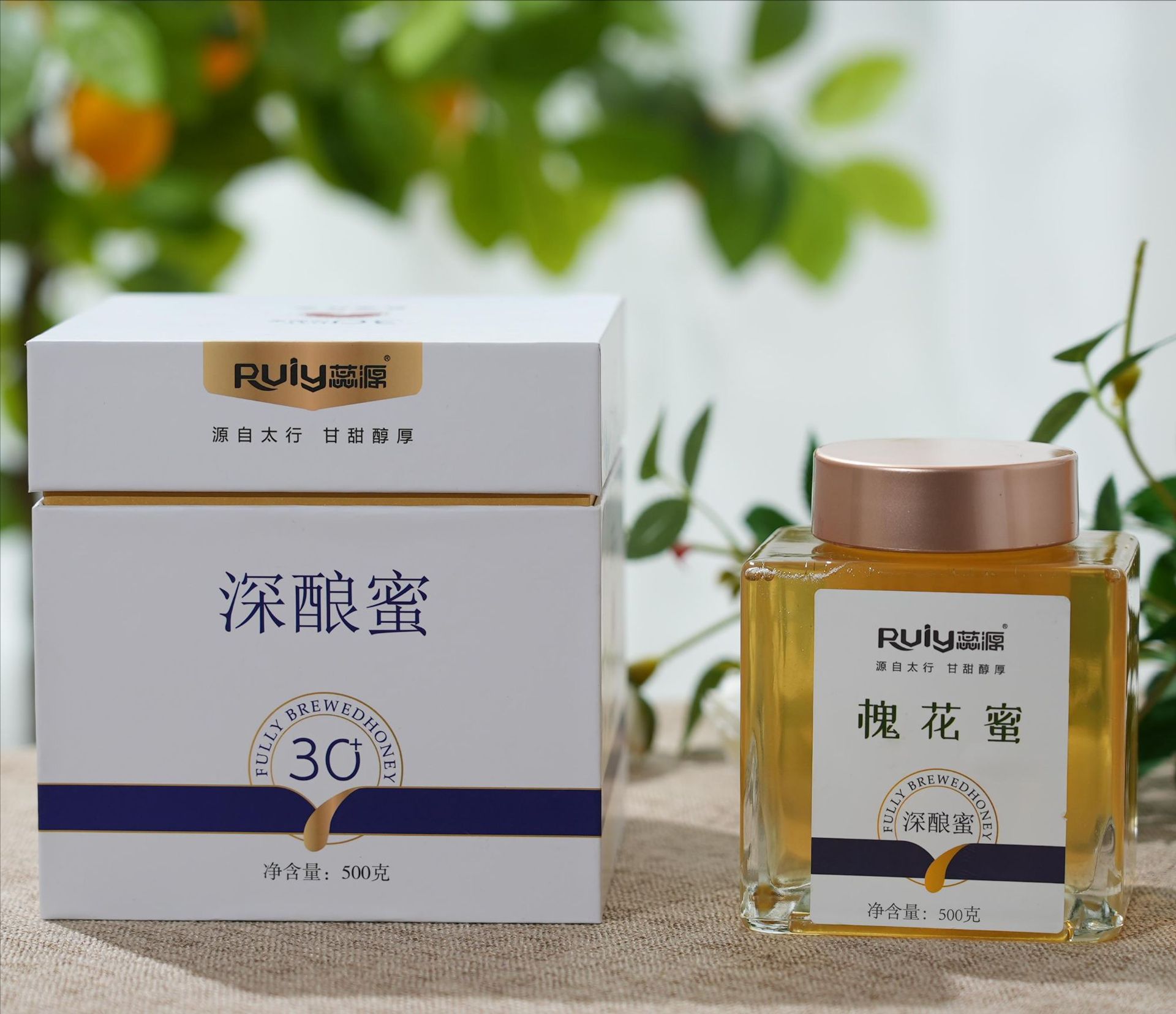 2416e512d81f8504ef67b407a656ae