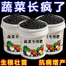 ʮ���b�߲˾�ጾ²��S�����t�������}���Gֲ�����w��Ҭ�u����