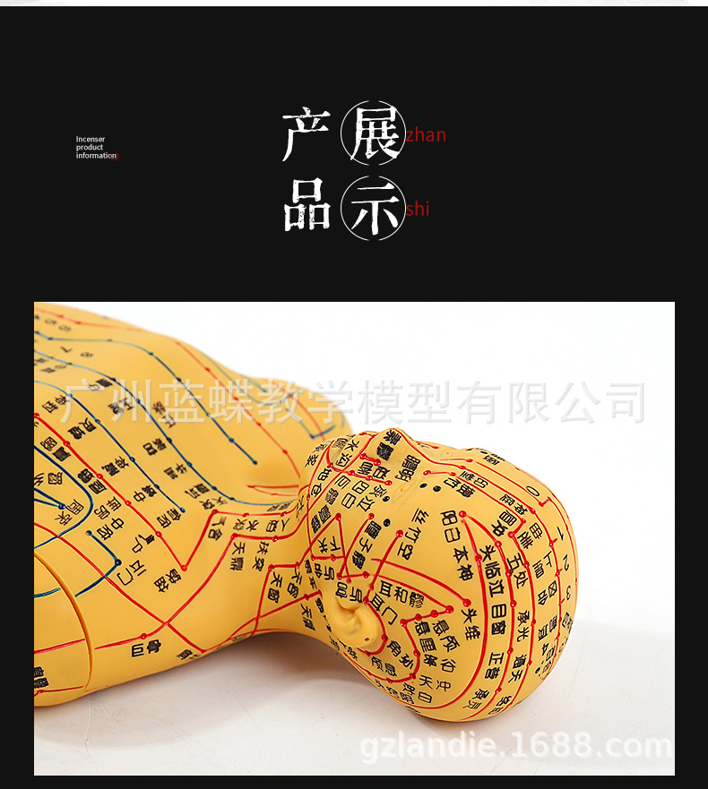 假模_18