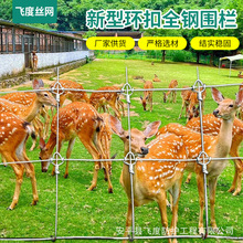 热镀锌草原网鹿网养殖护栏网农场牧场圈地网封山育林环扣网铁丝网