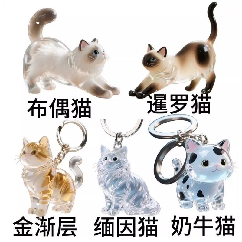 透明猫毛収納ボックスチャームガシャポン猫毛収納カプセルガシャポンバッグキーホルダーペンダント記念|undefined