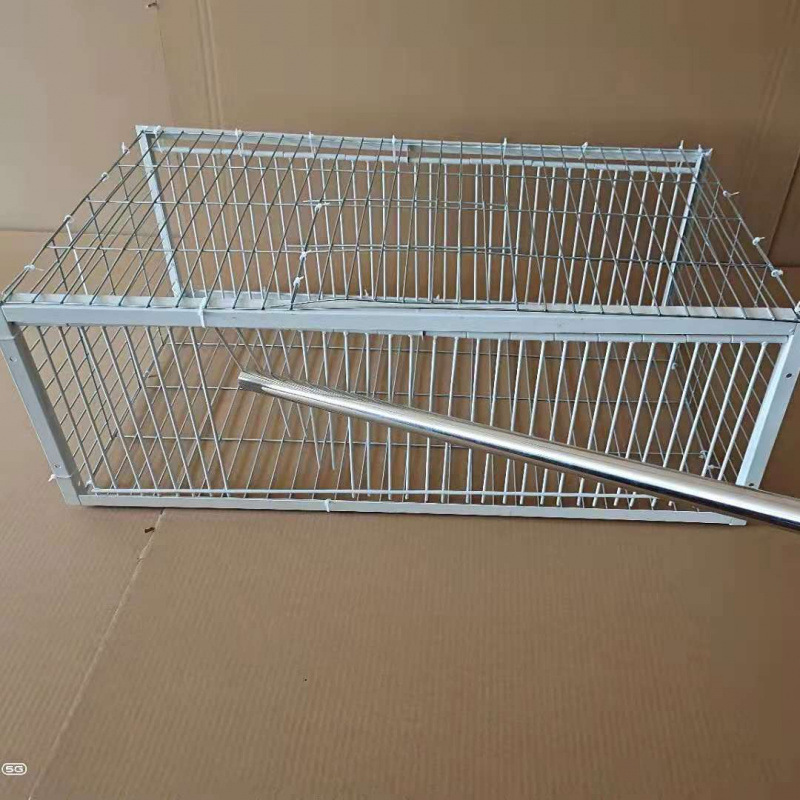 鸽子撞门笼 自动撞门笼活络门帘子门信鸽进笼口进门自动门鸽子笼|undefined