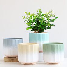 花盆陶瓷大号透气吸水带脚北欧家用简约多肉蝴蝶兰长寿花专用花盆