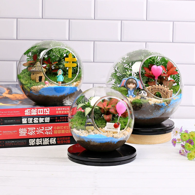 Теплое поле деятельности микро пейзаж экологическая бутылка мох завод DIY материал сумка стеклянный шар горшечные растения украшения подарочный костюм