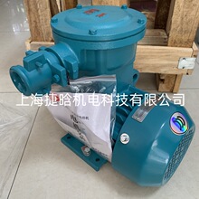 Ϻ늙C YBX4-315S-4 110KW Чʵ͉ஐ늄әC