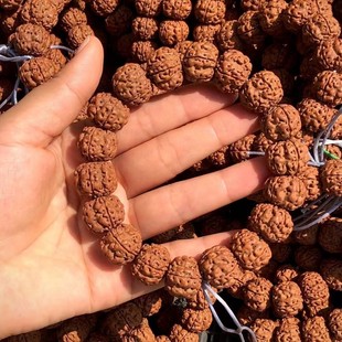 ���ڵ������ֳ����С�����������������С��������S�Ҵ������l