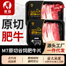 M7原切肥牛片雪花牛肉片家庭烤肉涮锅肥牛卷牛肉卷商用批发代发