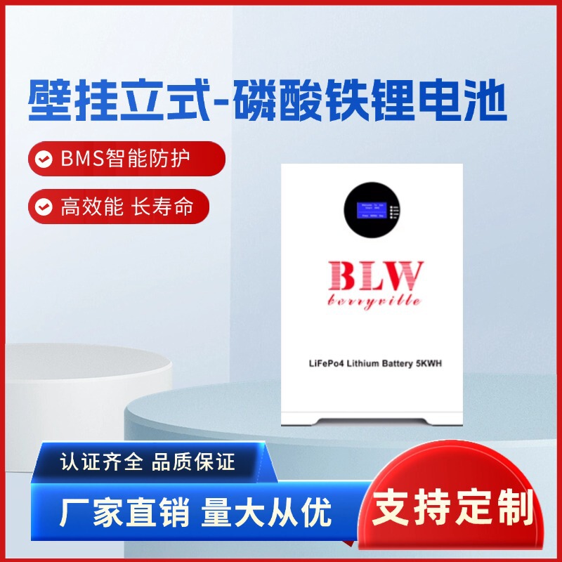 Wall-Mounted 51.2V100Ah 5 Kwh Lithium Iron Phosphate Home Energy Storage Battery Solar Off-Grid Backup Power Wall-Mounted 51.2V100Ah 5 Kwh Lithium Iron Phosphate Home Energy Storage Battery Solar Off-Grid Backup Power