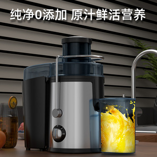 Electric Juicer Original Juicer Cross-Border Household Juicer Juicer Residue Juice Separation Fruit Squeezer