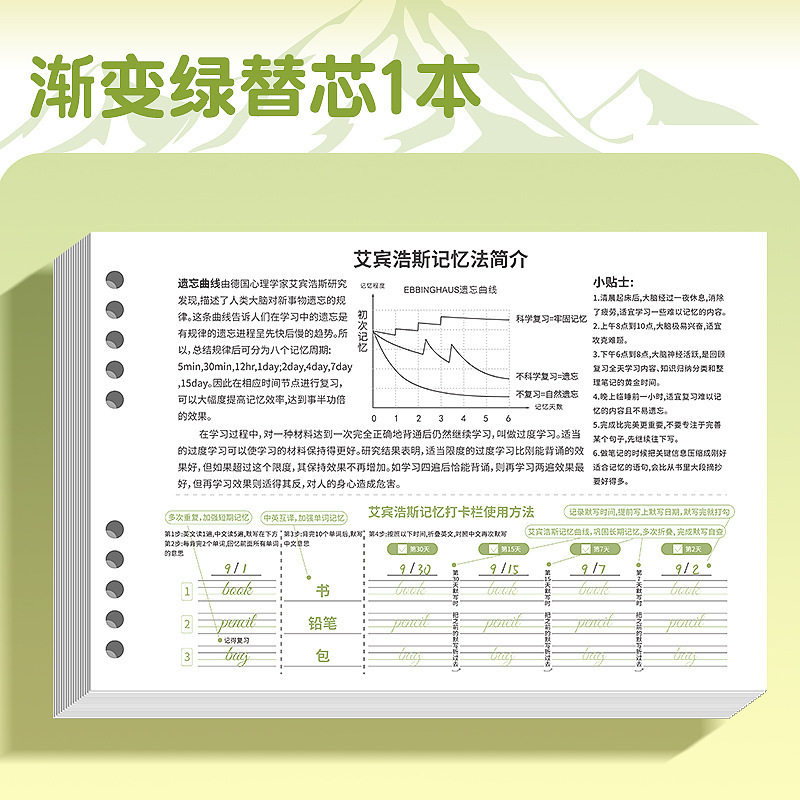 英语单词本小学生初中单词记背神器便携艾宾浩斯遗忘记忆曲线|undefined
