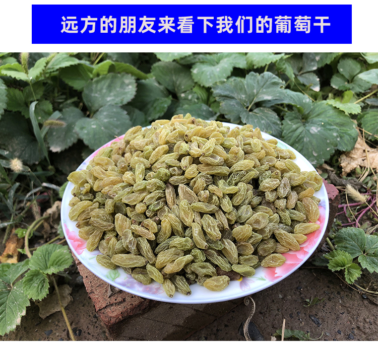 Emerald Seedless Green Raisins (Vitis vinifera) — Dried Fruit Snack, 500g key features