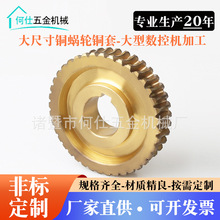 厂家生产蜗轮蜗杆铜蜗轮663 94l铝青铜 有款式需求可咨询客服铜蜗