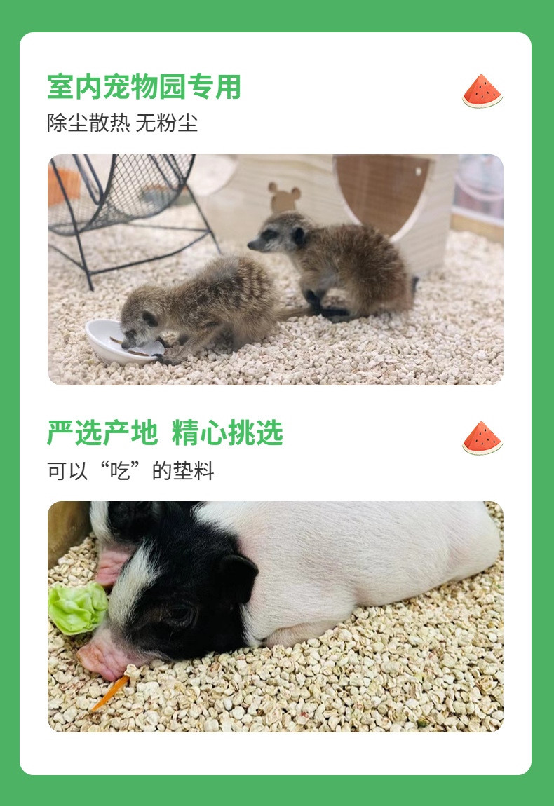 夏上新食品西瓜详情页 (4) - 副本