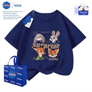 NASA��ͨ�������Ǽ��޶���T���ɐۺ������ͯ�b�д�ͯ�A�I����