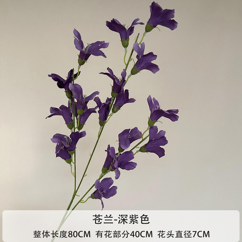 다크 퍼플