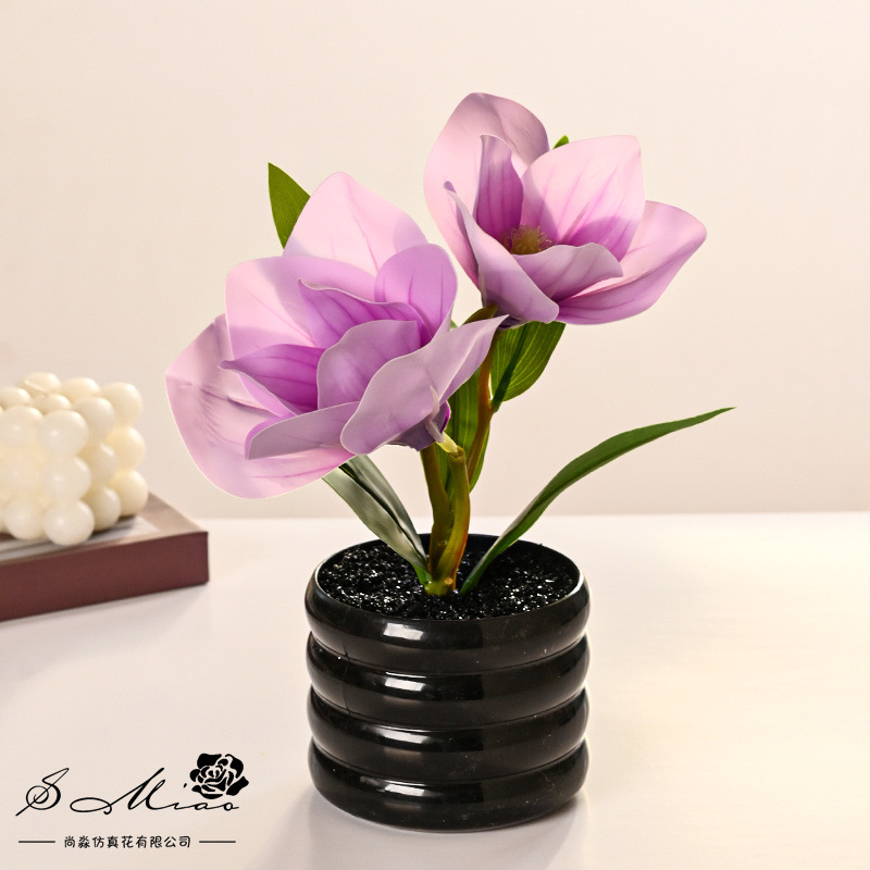 Dos flores y una fruta sensación de imitación de flores en maceta de magnolia, decoración de plantas verdes en el hogar, sala de estar, pequeñas flores de bonsai image 1