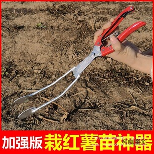 �ք������ԙC������ɽ��С���Բ���t���r������عϲ�������̫��