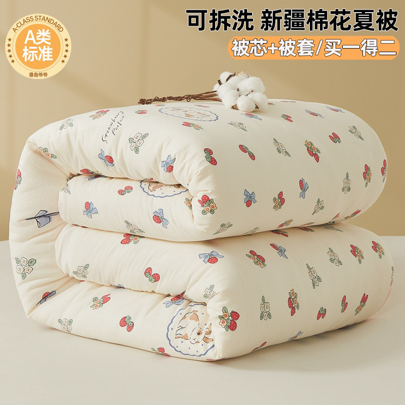 新疆綿花被長パイル綿四季純綿花被芯春秋布団冬被芯卸売り綿パッド|undefined