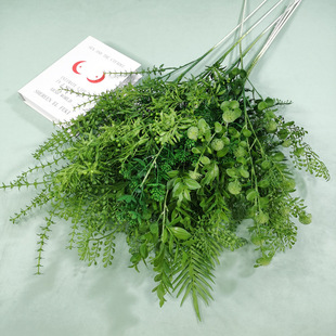 ��c����Gֲ  �׾Gɫ��Y���û� �Gɫϵ�~����·�� ���̾Gֲ�b�