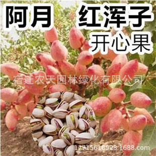 �����_�Ĺ������Ե����ϱ����Nֲ���¾G�ʘ��箔��Y���_�Ĺ�����