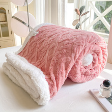 秋冬季加厚保暖塔芙绒毛毯学生宿舍午睡毯牛奶绒小毯子儿童披肩毯