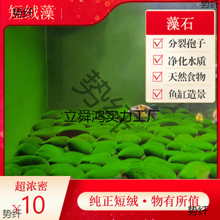 �̽q����ʯ�������N�L�q��G����N��Դ�G̦�N��ˮ�~���쾰����