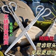 黄鳝夹防滑不锈钢鳝鱼夹子黄鳝钳抓泥鳅抓螃蟹赶海工具垃圾夹