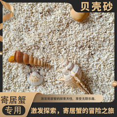 寄居蟹専用天然マットサンゴフィリピン底砂造景原生水槽貝殻三湖慈彫底砂