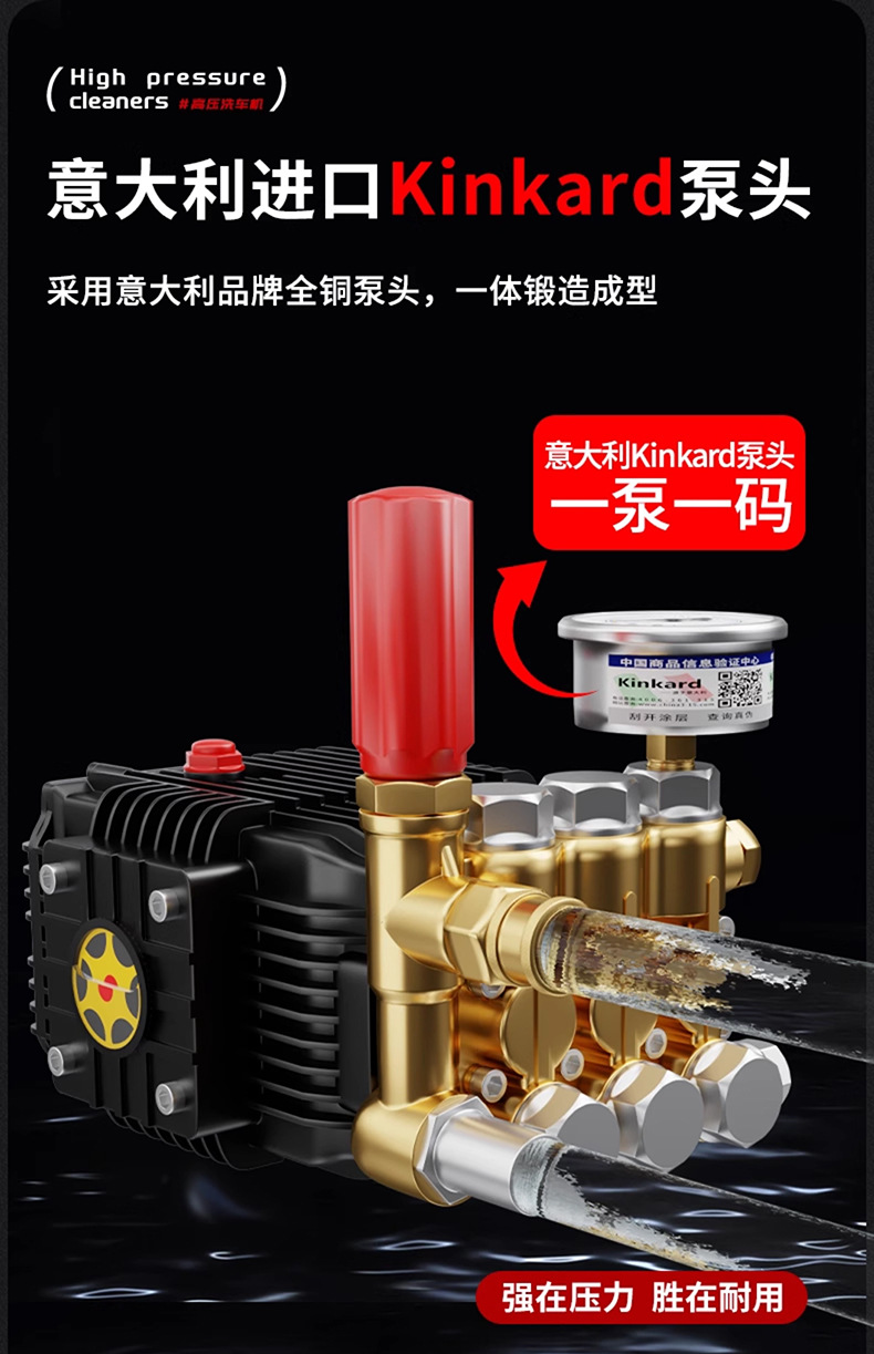 Black Cat Racing Variable Frequency Cleaning Machine 220V Commercial Car Wash Shop Car Wash High Pressure Water Gun Pump Super Supercharged Car Wash Machine