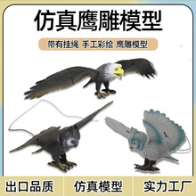 跨境儿童益智认知玩具可携带老鹰模型老鹰猫头鹰吊线仿真动物模型