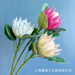 �S�����l����������Ꭷ����c��ɫ������Ϸ����_С�����廨�쾰