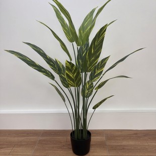 ֱNF؛ٻ ͏d[OطGֲԷ˽b