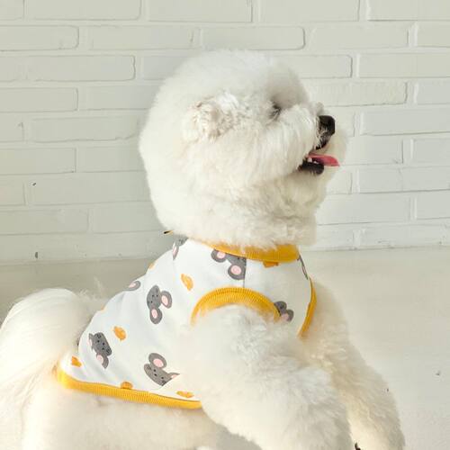 Autumn and winter puppy cute all-over printed collar vest small and medium-sized dog Teddy two-legged clothing cat pet clothing