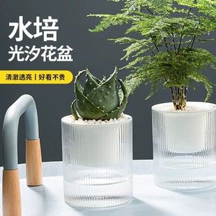 �����Ԅ�����ˮˮ�����������ش�̖�❲ˮ�Nֲ���ˮ�Bֲ�ﻨ��