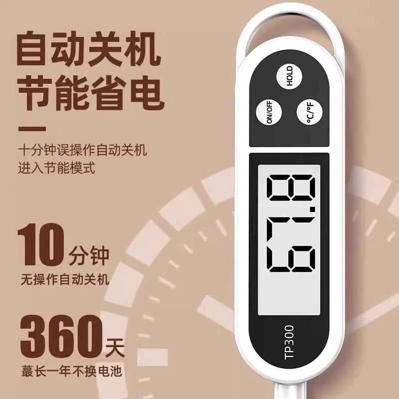 Thermometer, precise rostometer