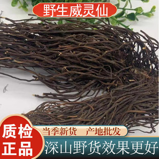 Ұɽ���`��10�����lˮϴ���`�ɷǷ��`���ϻ���500g��؛��