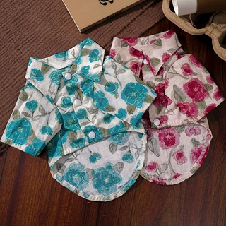 宠物衣服春夏韩系衬衫比熊泰迪薄款小型犬猫咪春夏季